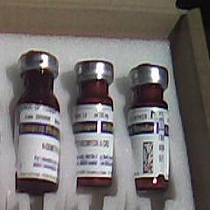 7-O-Methylmangiferin