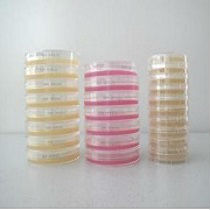 LB培養(yǎng)基粉劑