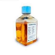 兔血清（輻照滅菌）