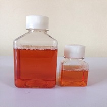 標(biāo)準(zhǔn)豚鼠血清（無(wú)菌過(guò)濾、熱滅活）